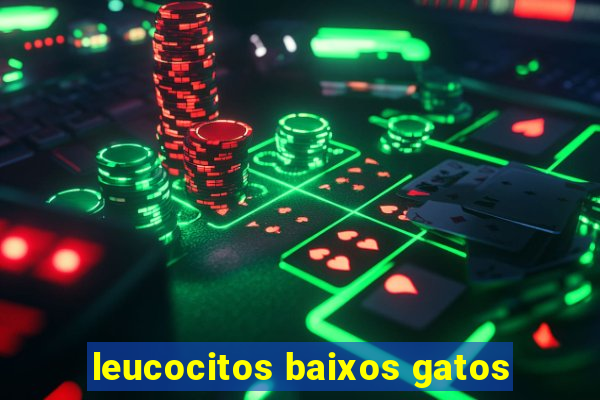 leucocitos baixos gatos